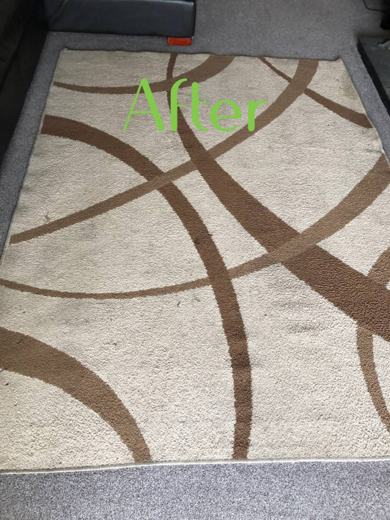 Professional rug cleaning service
