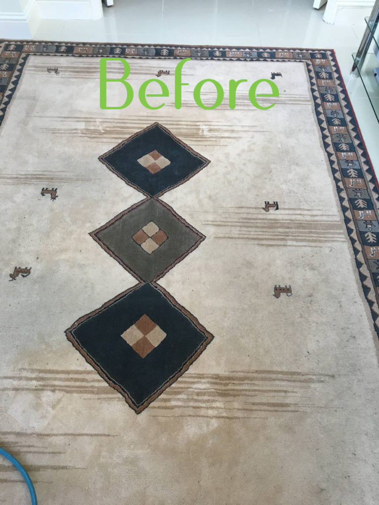 Professional rug cleaning services in Dublin