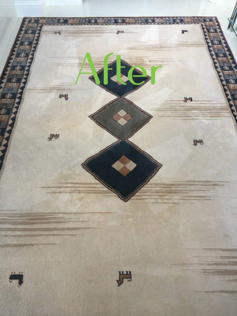 Professional rug cleaning services in Dublin